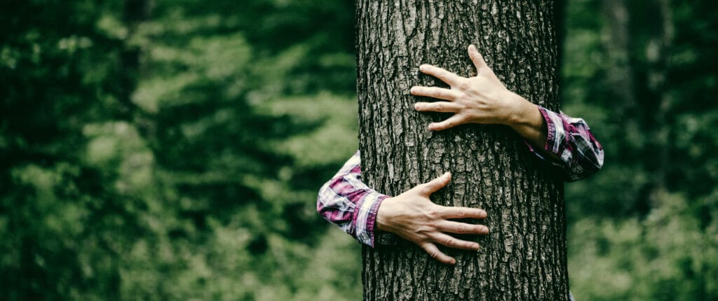 Día Internacional de los Bosques